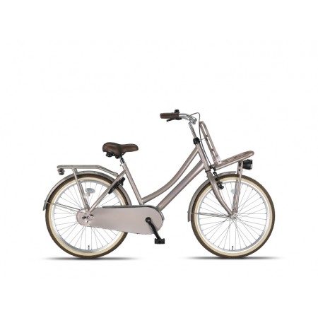 Urban 24 Inch Girls Coaster Brake-Altec